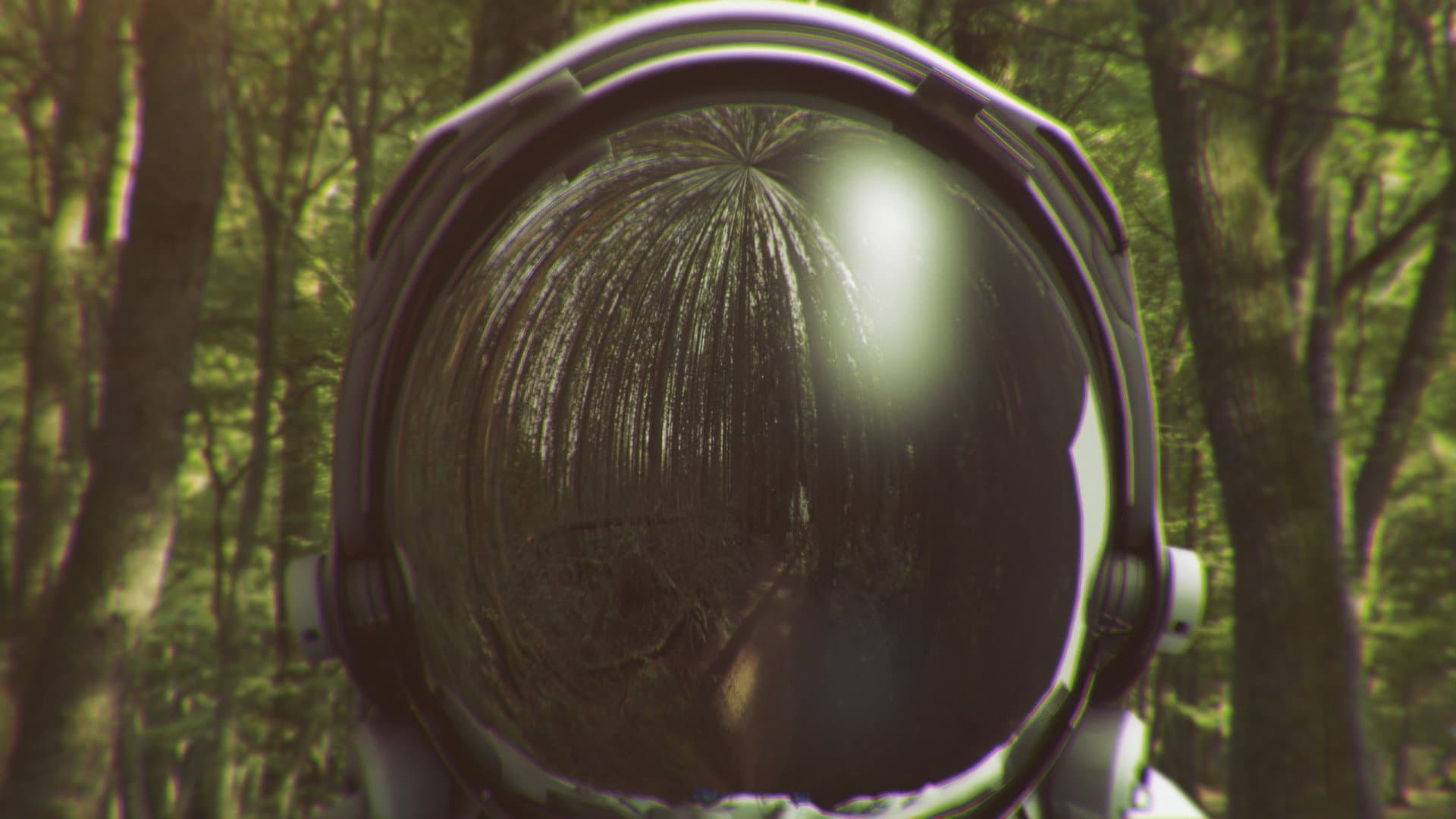 Wood