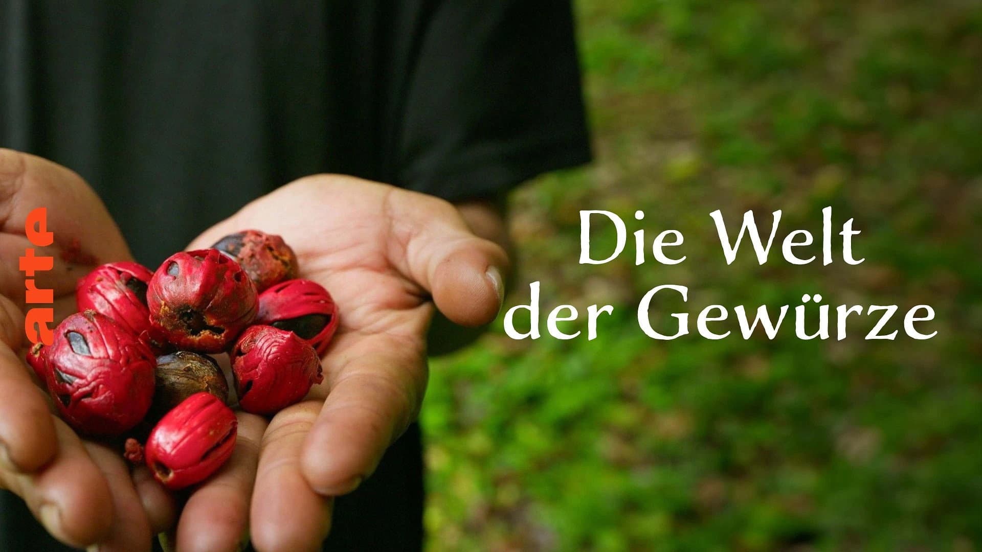 Die Welt der Gewürze