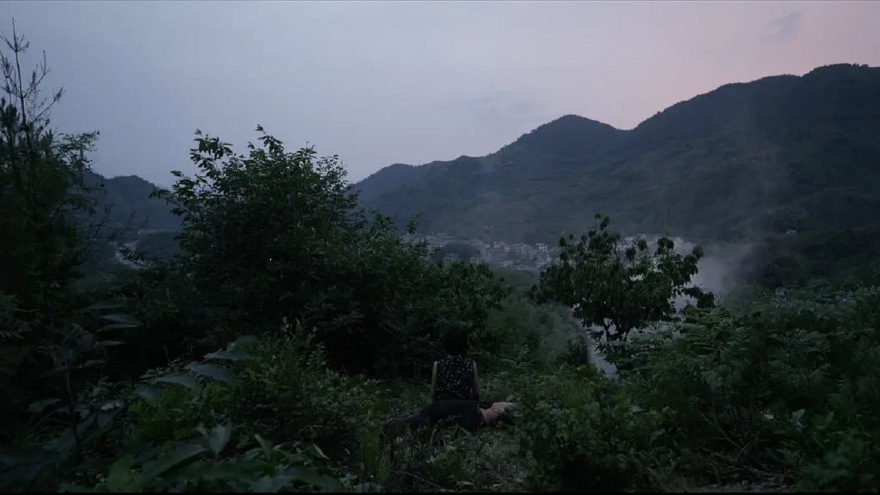 辞柯