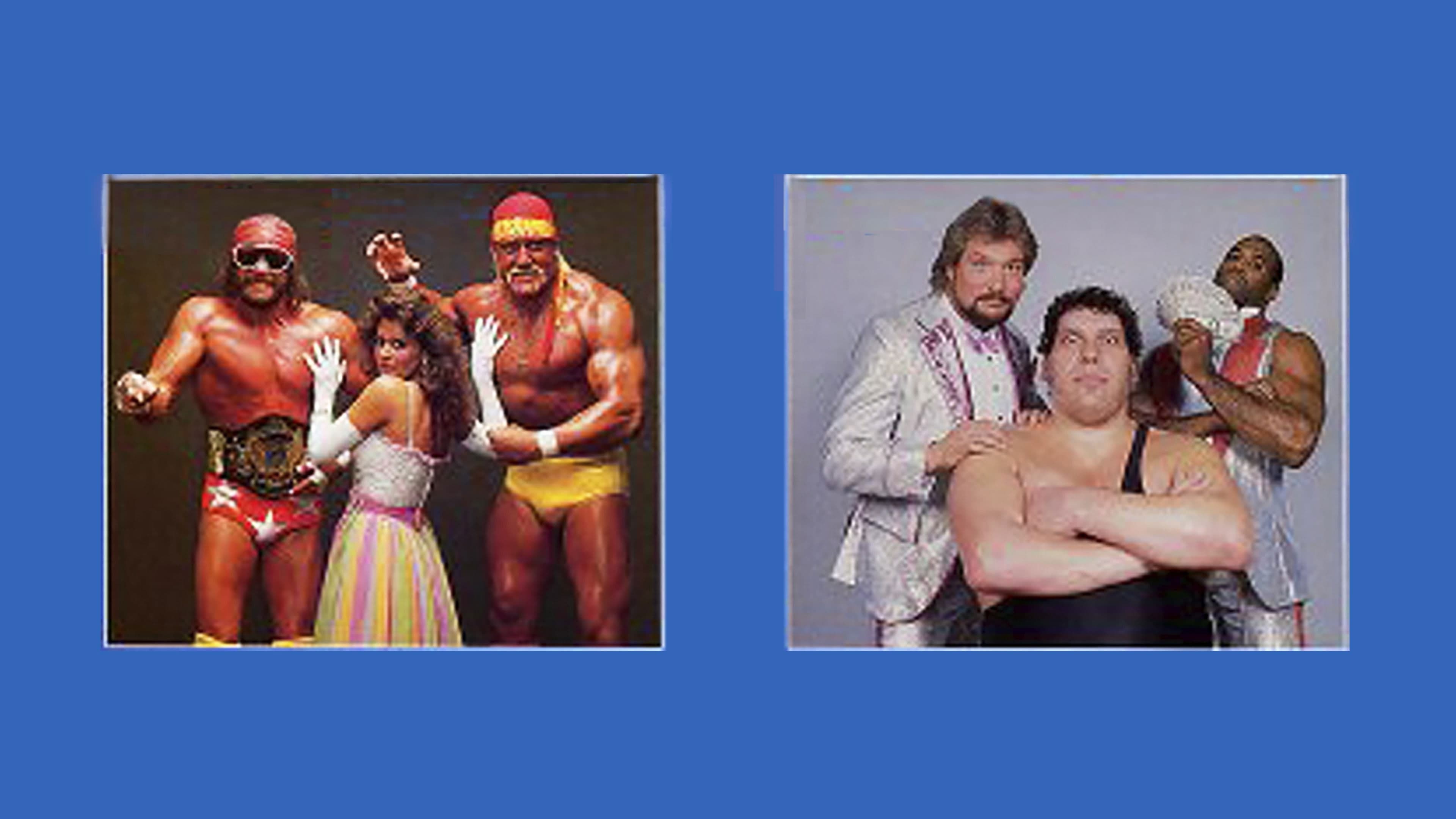 WWE SummerSlam 1988
