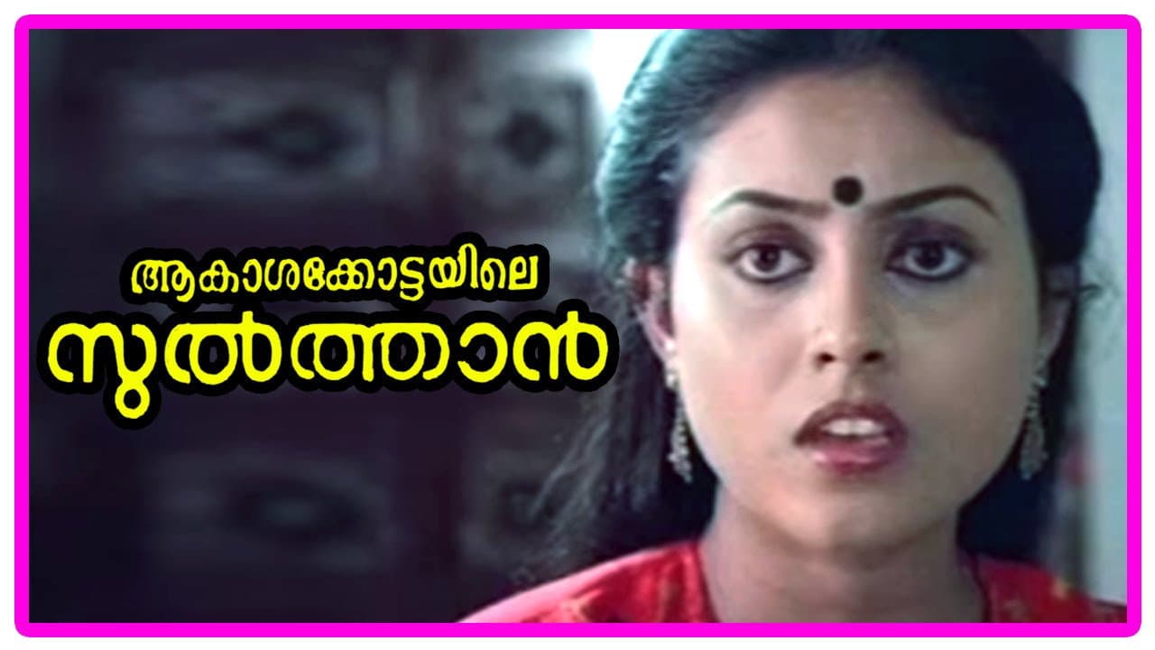ആകാശക്കോട്ടയിലെ സുൽത്താൻ