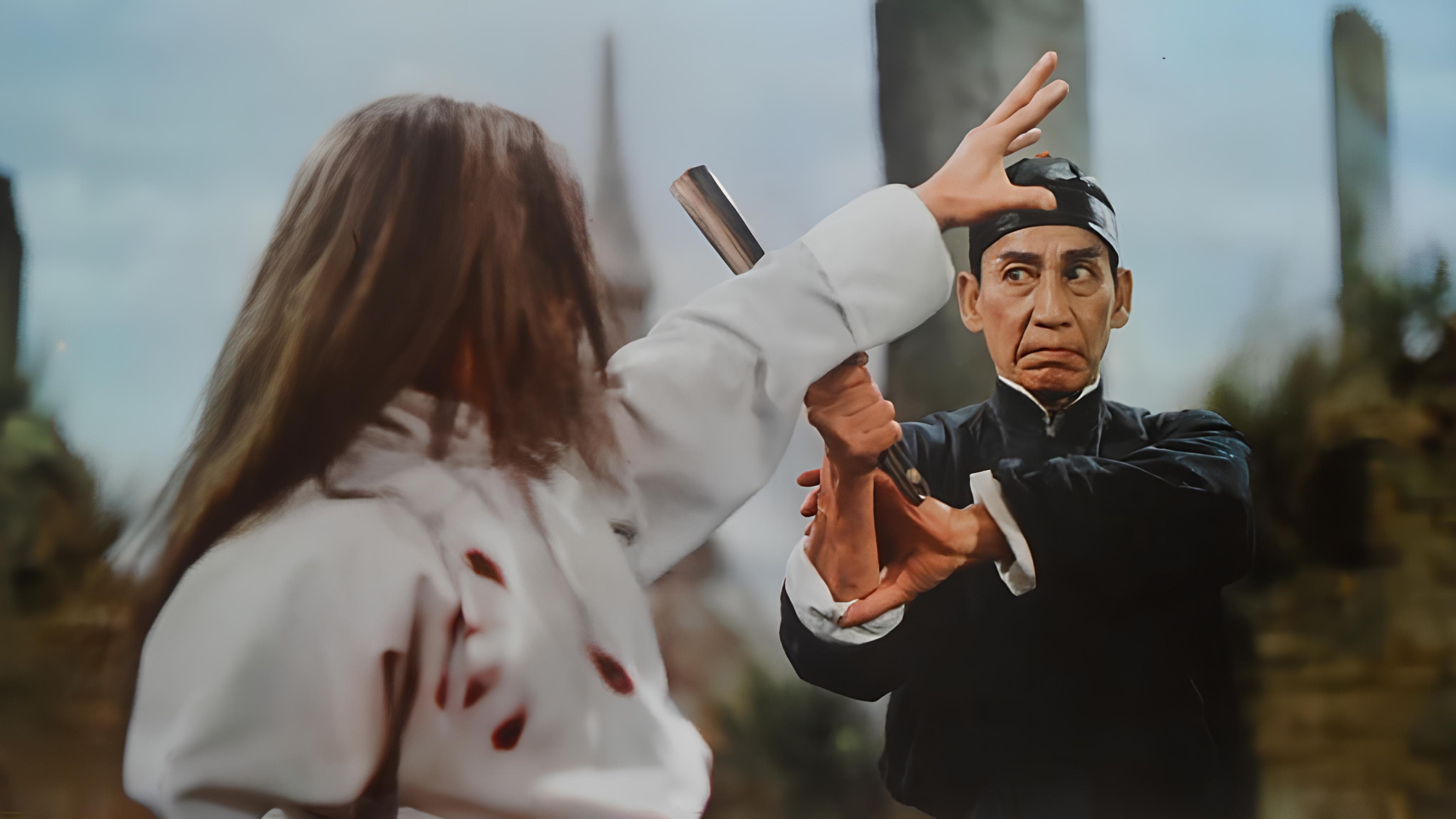 黃飛鴻少林拳