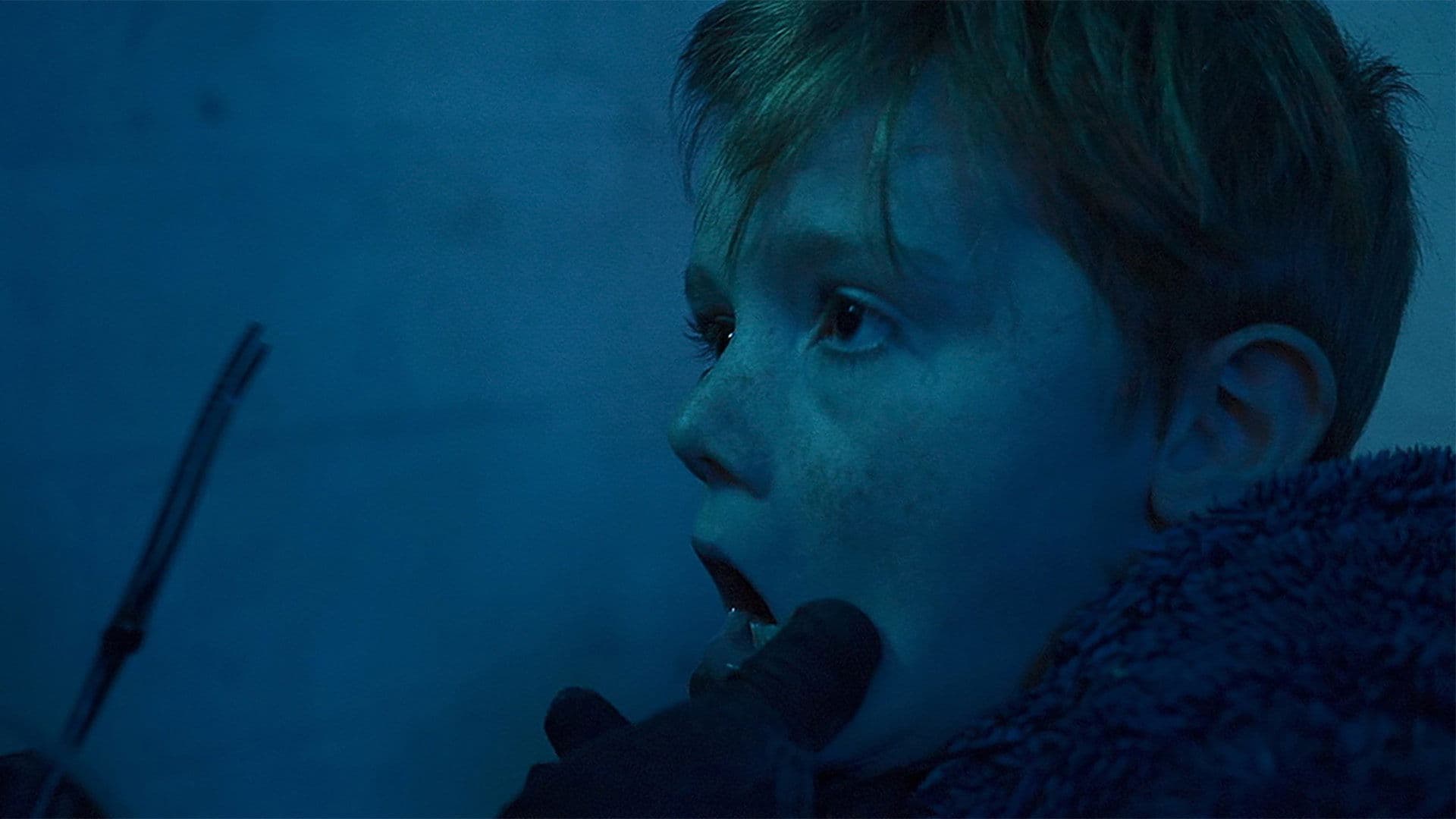 Tooth Fairy (Horror) Collection