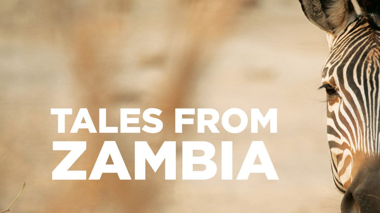 Relatos de Zambia
