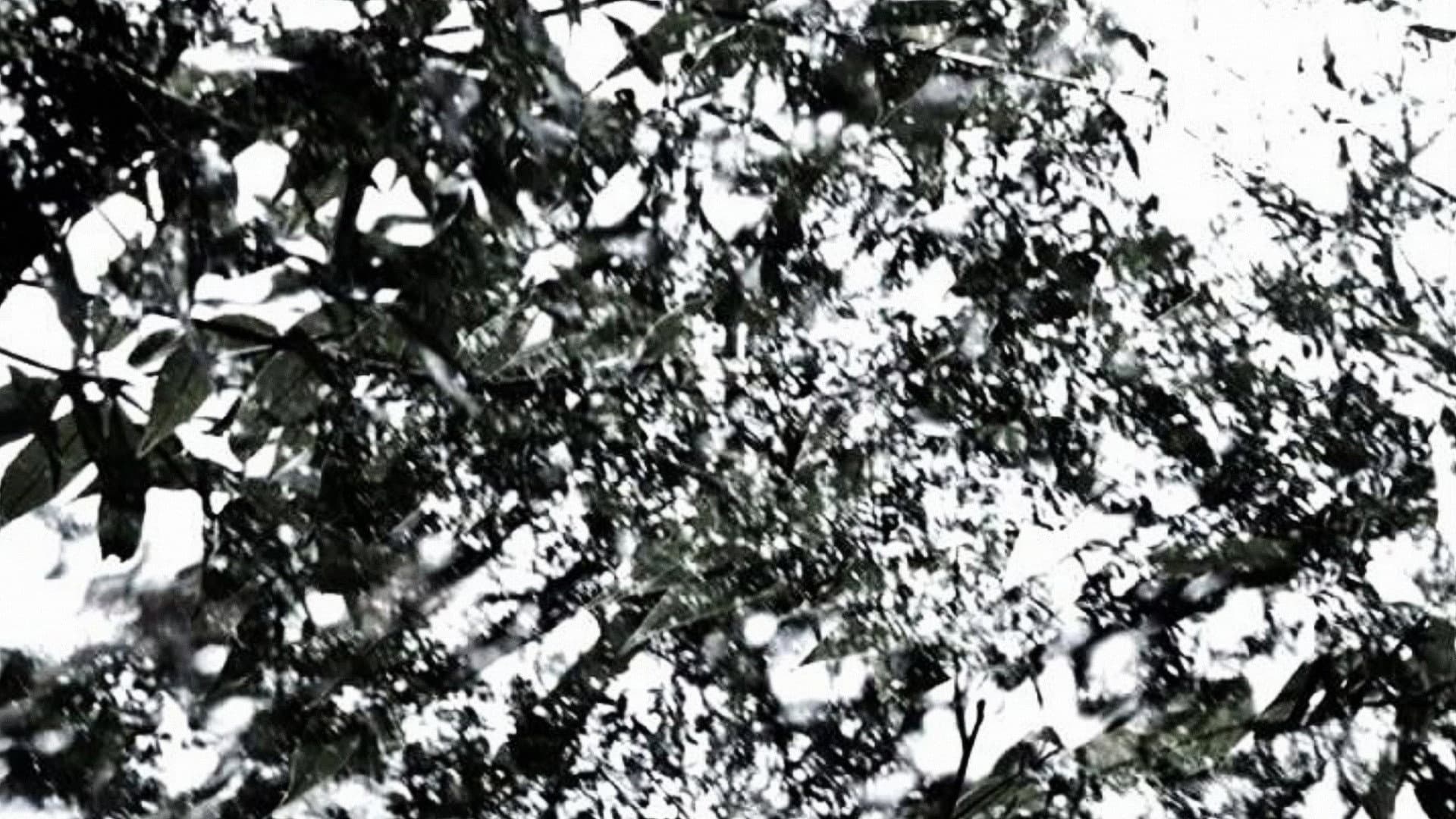 The Seasons