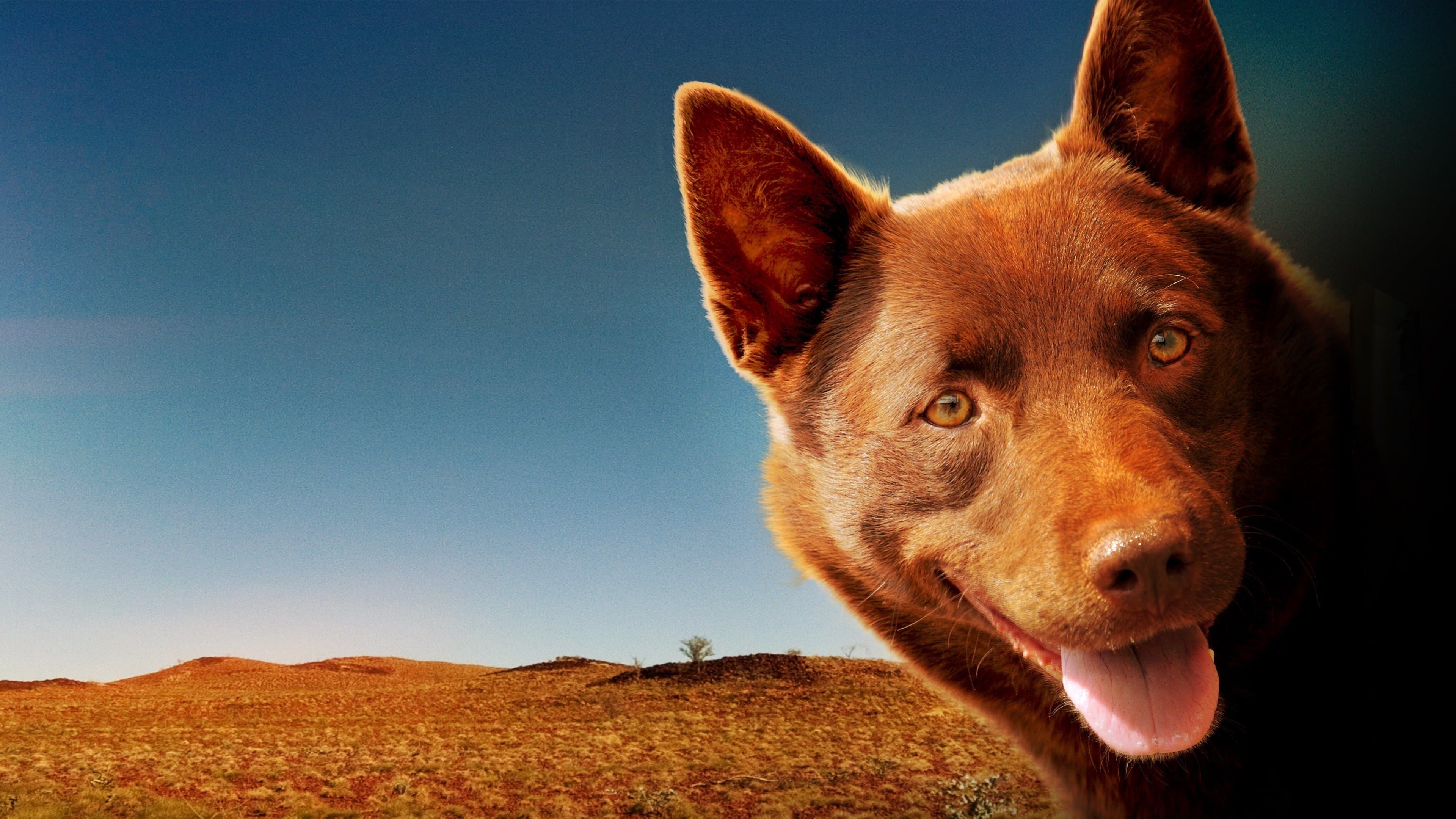 Las aventuras del Perro Rojo