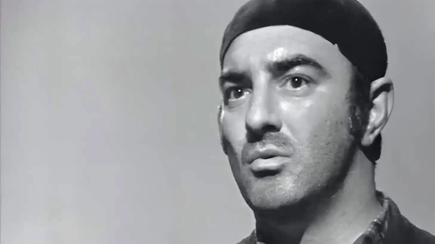 Diplomci