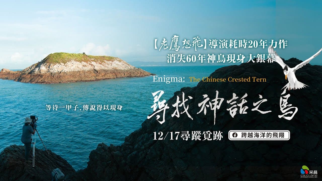 尋找神話之鳥