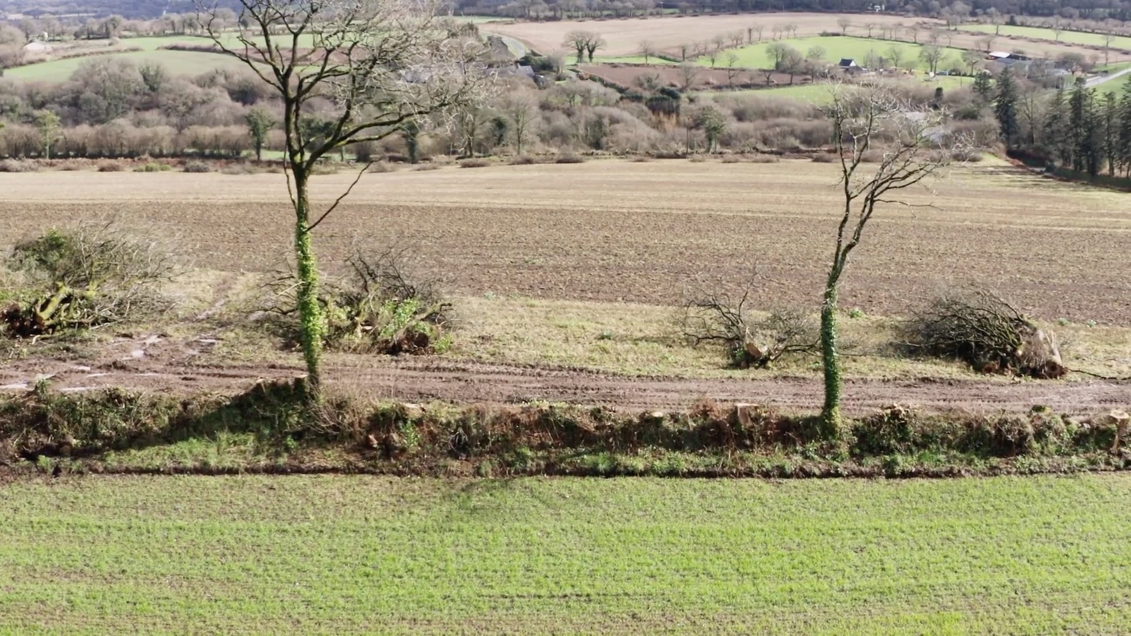 Le village qui voulait replanter des arbres