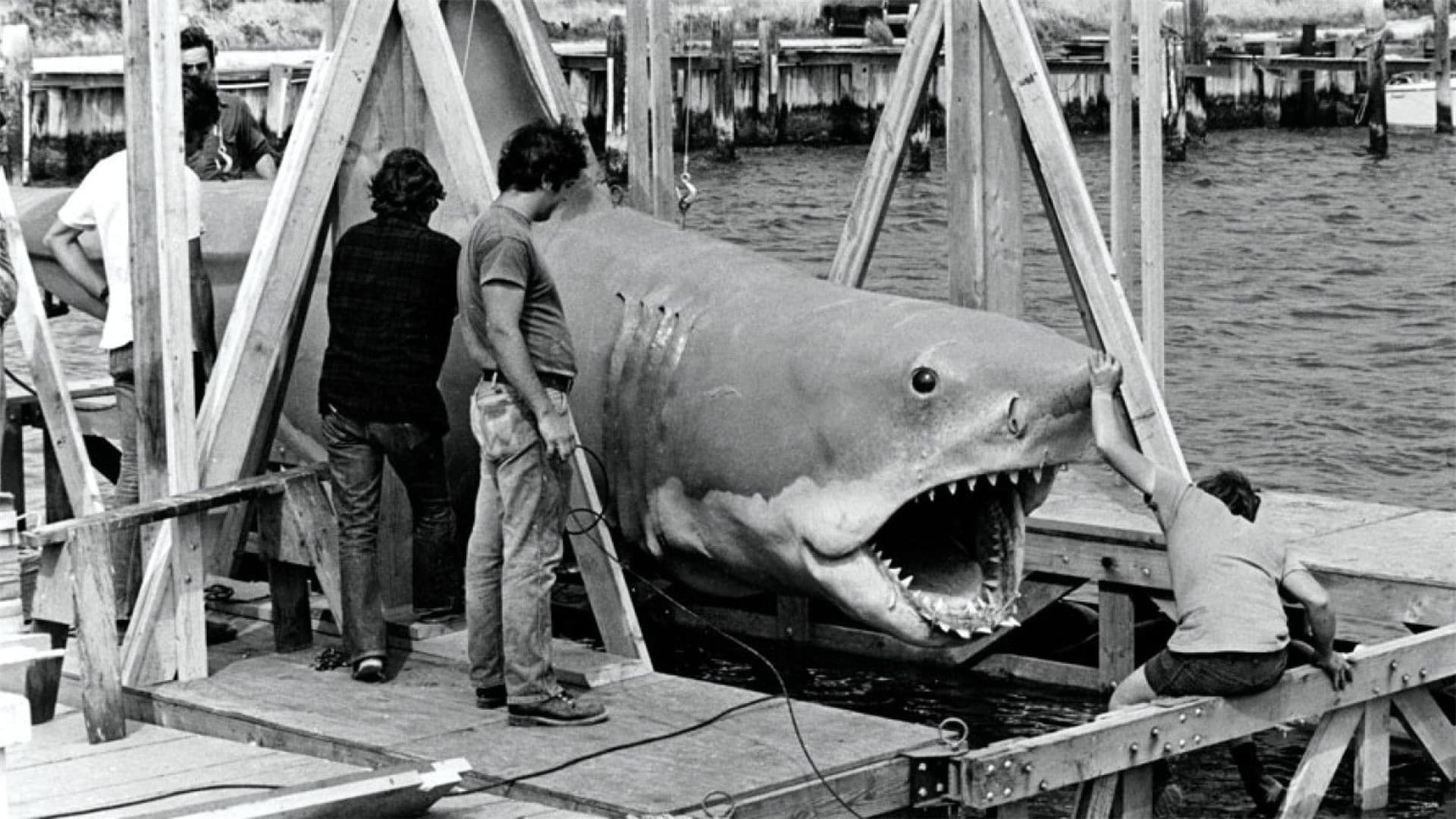 The Shark Is Still Working