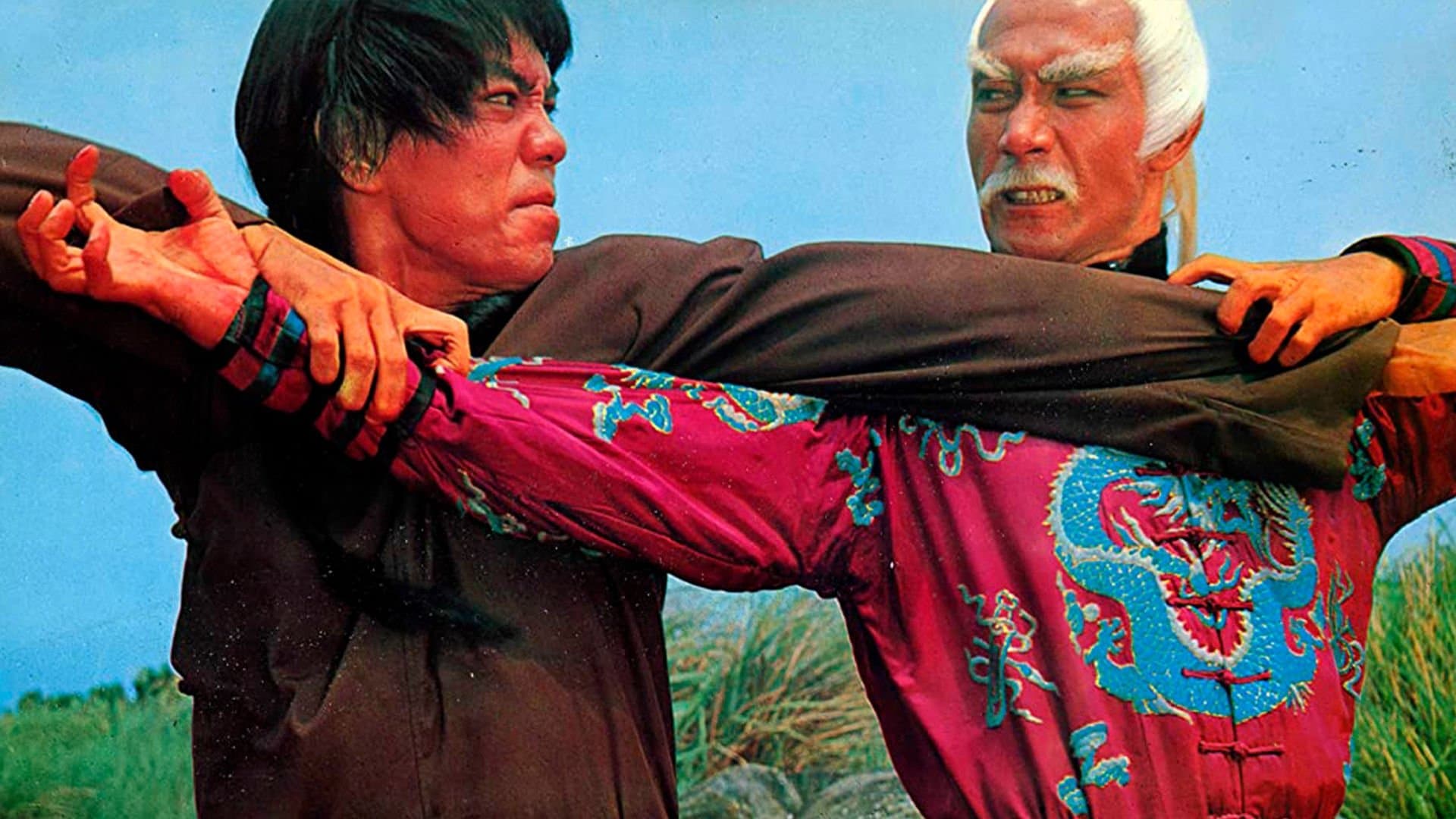 10 Brothers of shaolin