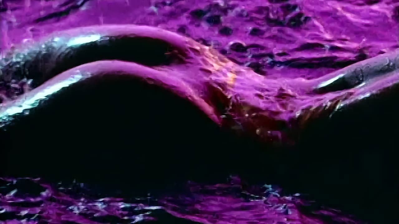 Playboy: Wet & Wild Collection