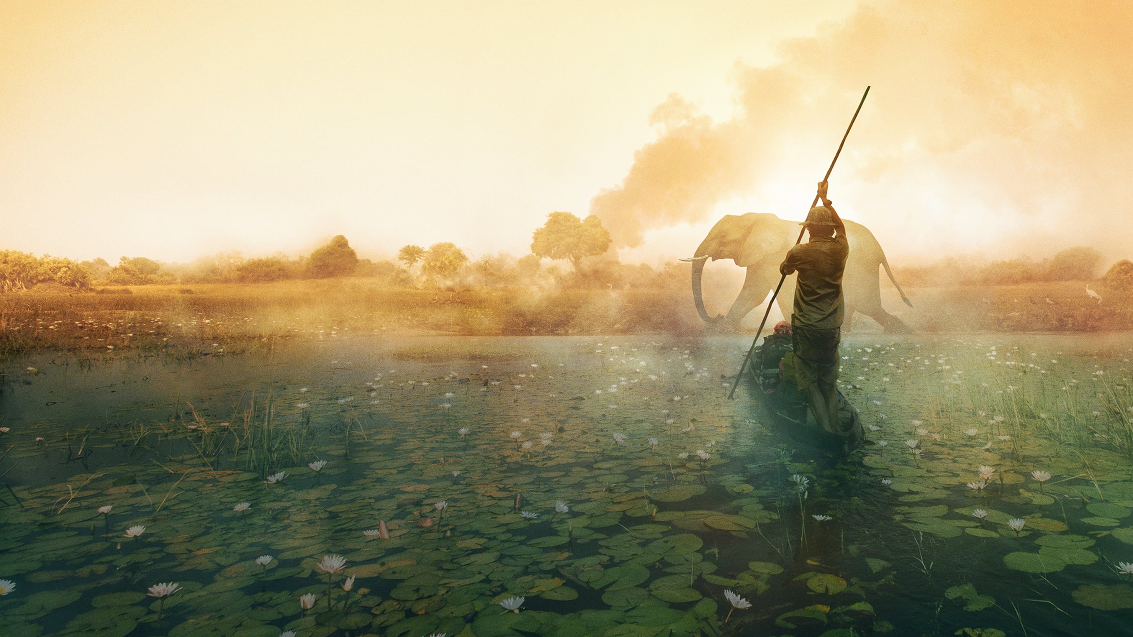 Okavango: El Alma Africana