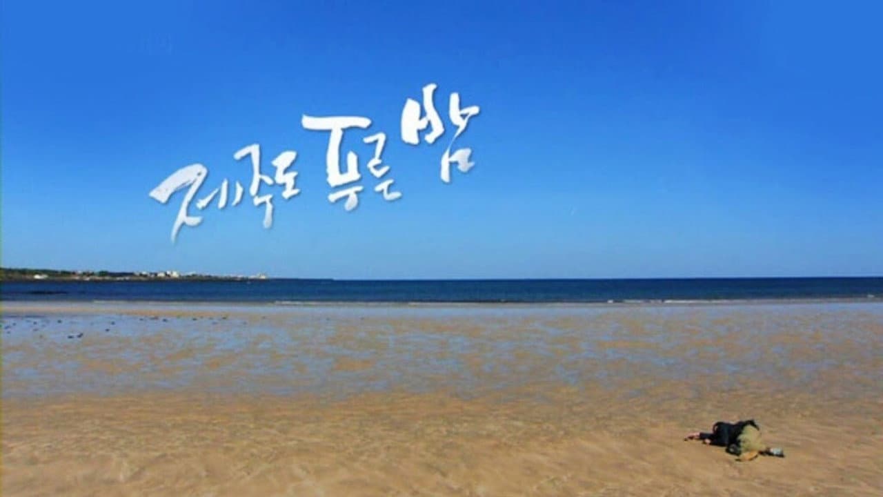 드라마 시티: 제주도 푸른밤