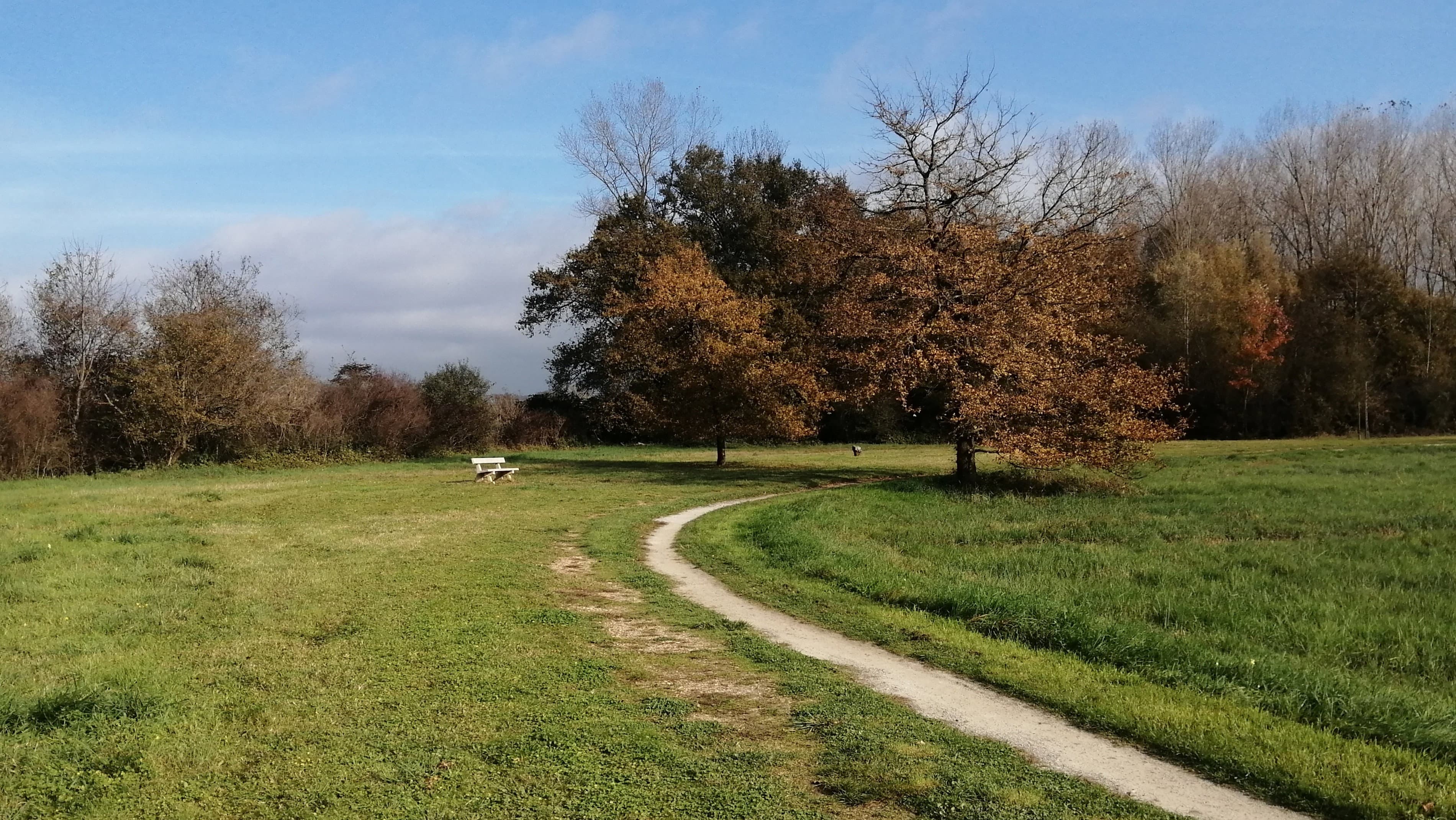 Running Fields Collection
