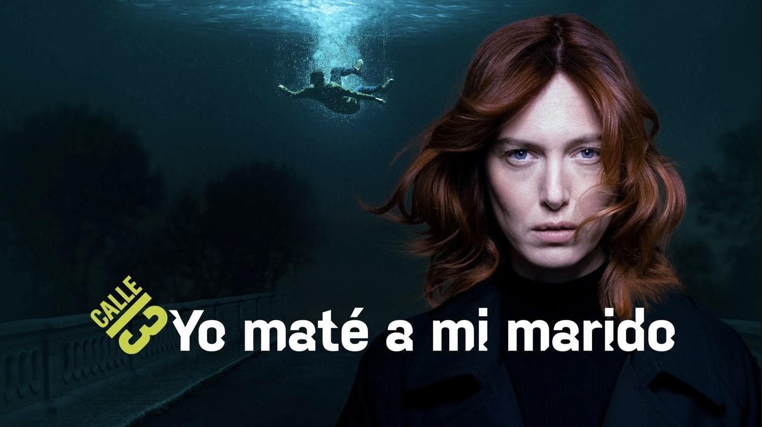 Yo maté a mi marido