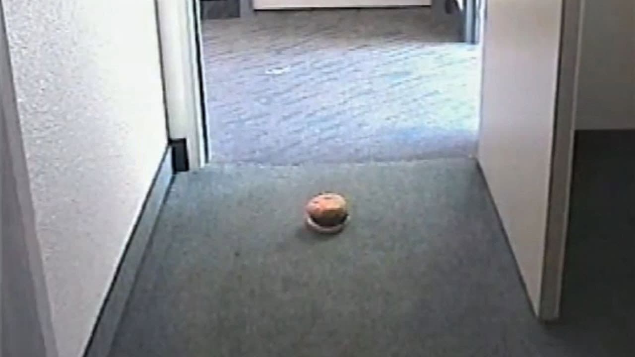 Hamburger Dad