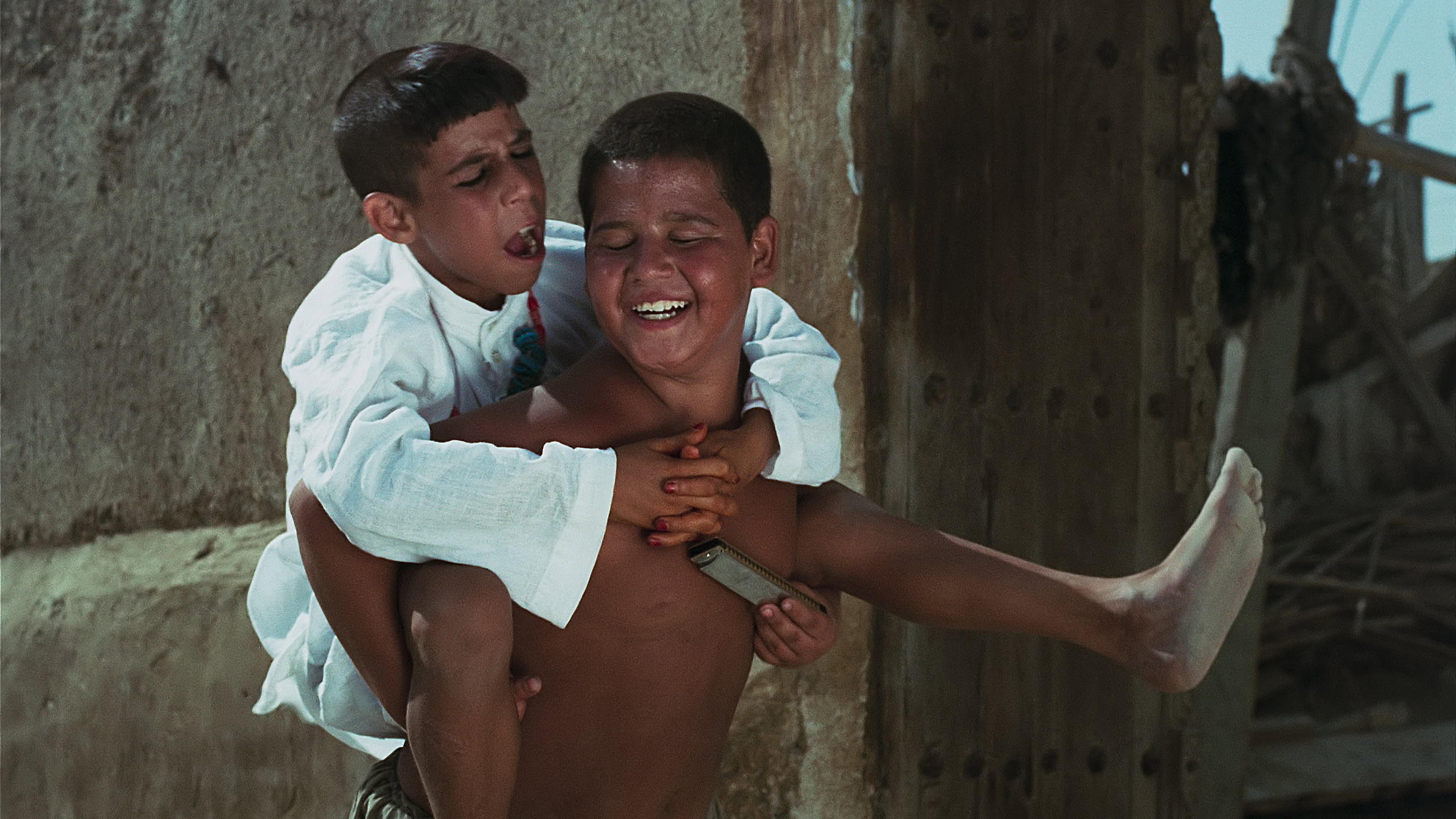 ساز دهنی