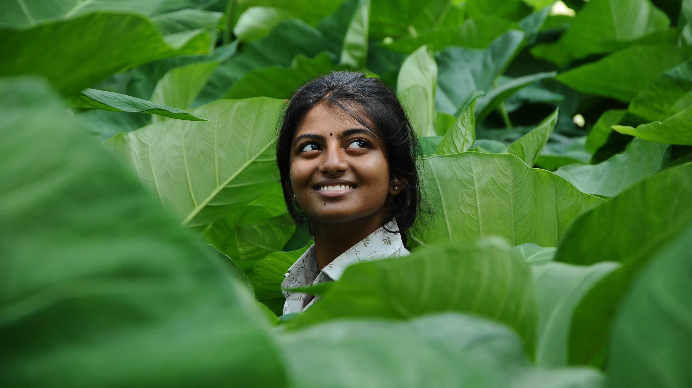 கயல்