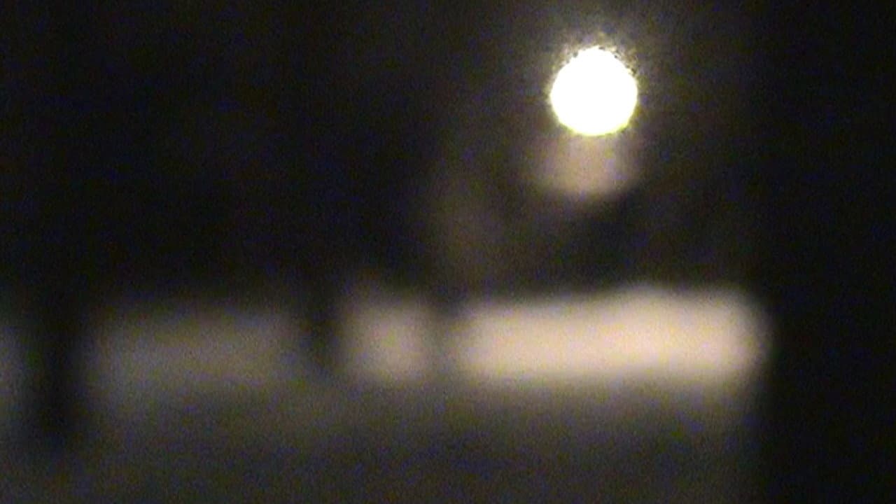 a winter blur