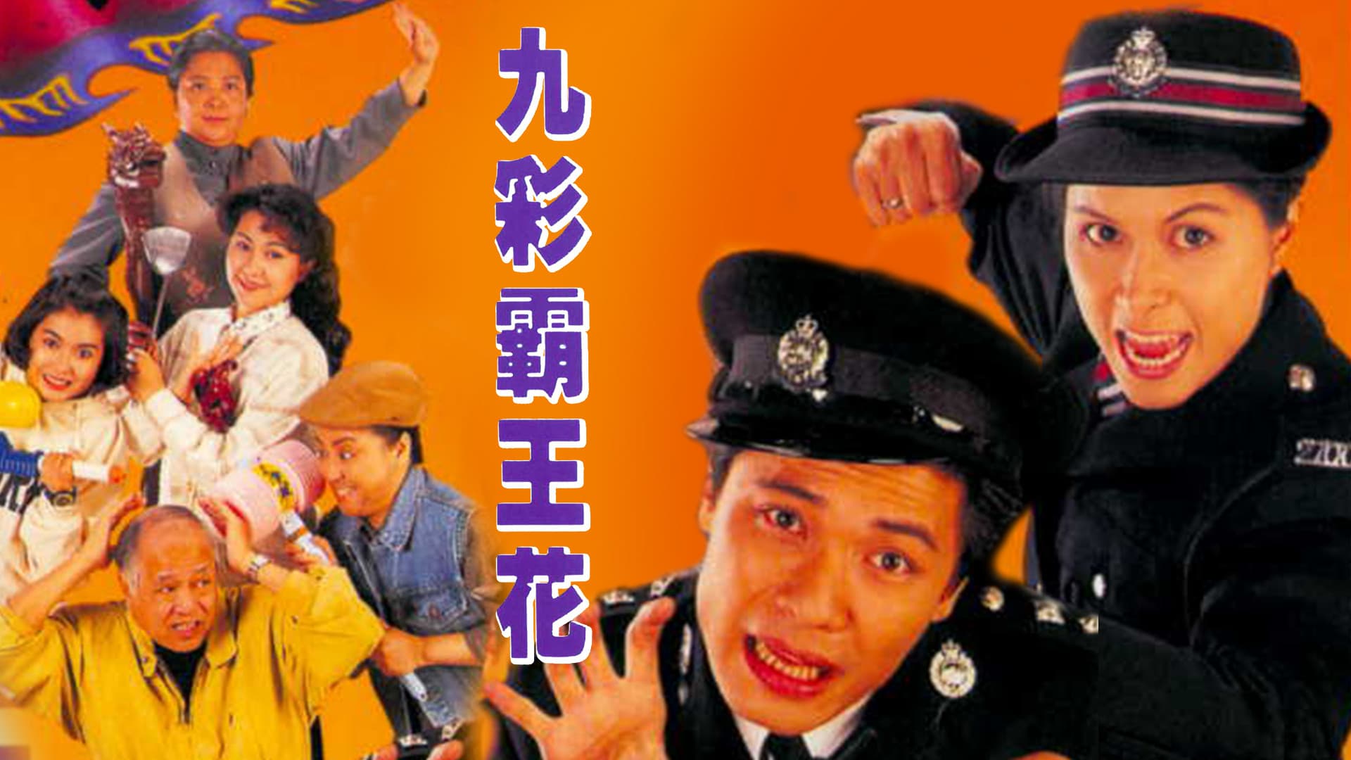 九彩霸王花
