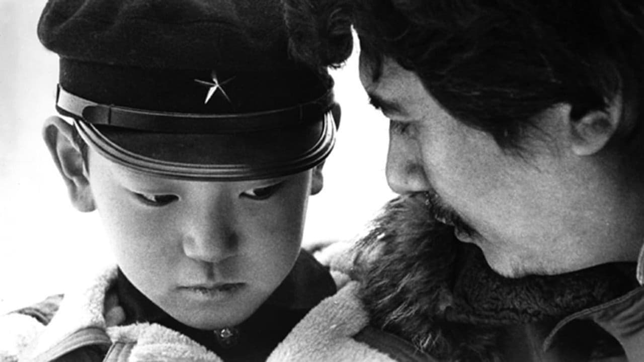 少年