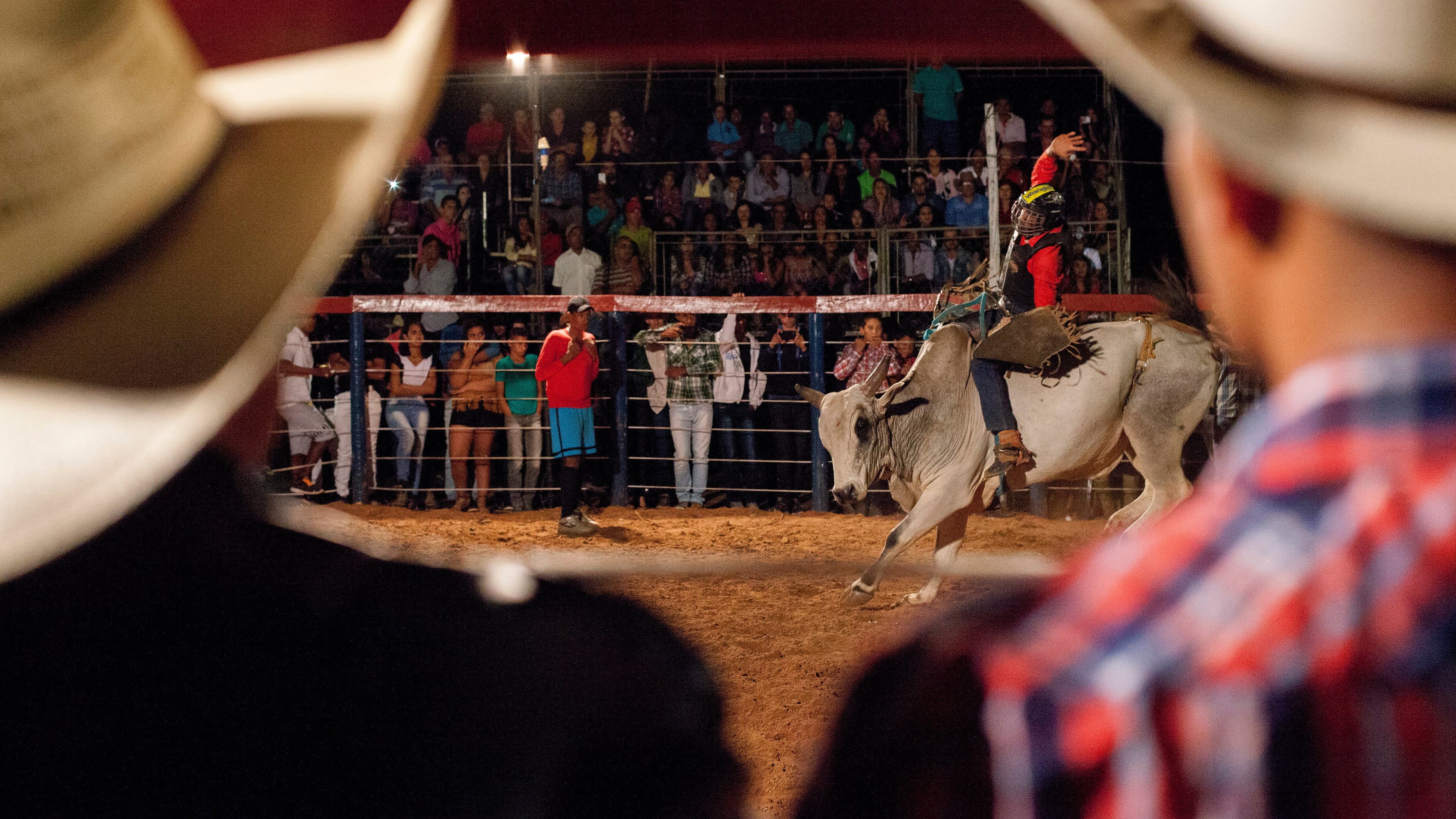 Querência