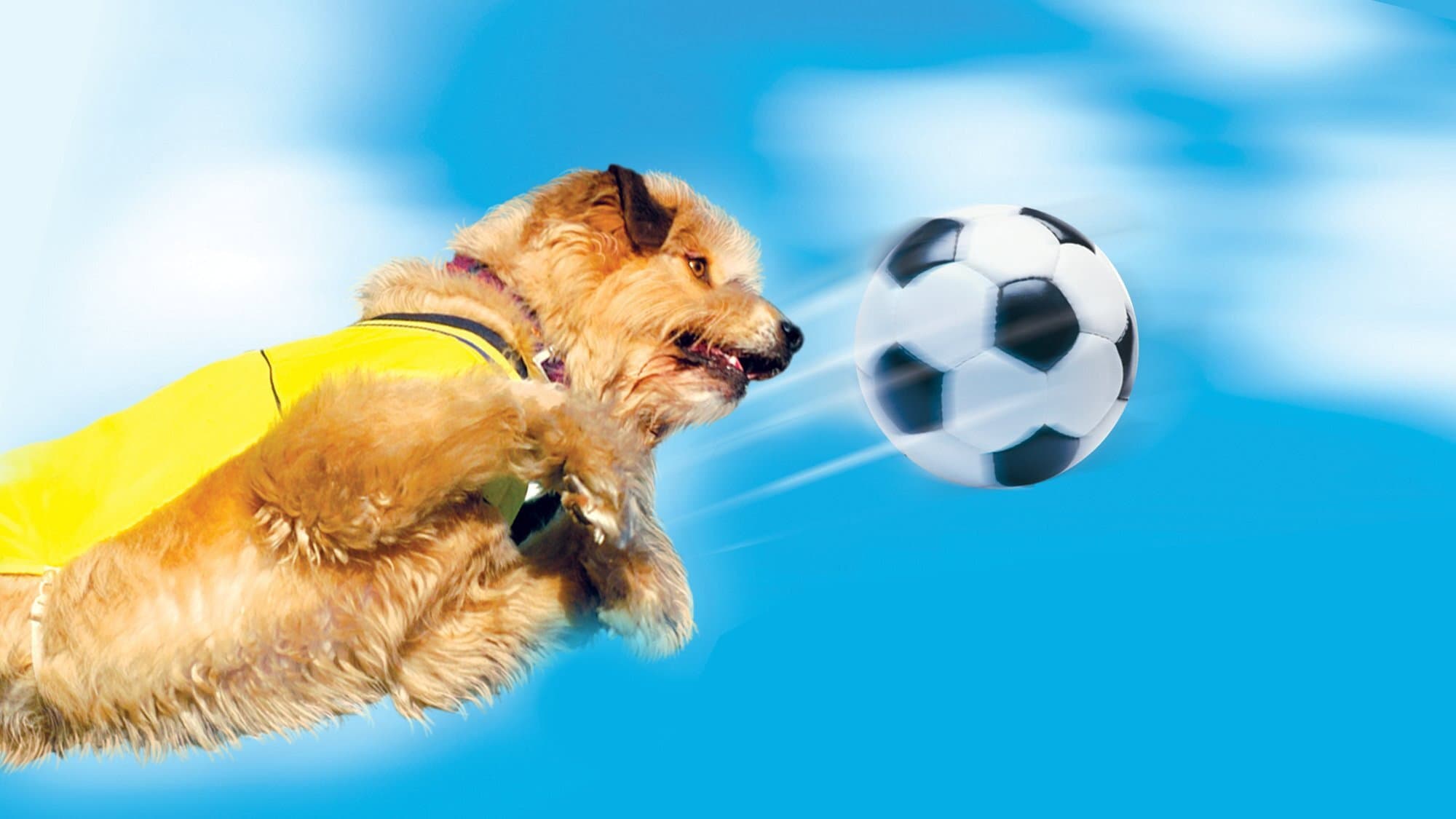 El perro futbolista 2: La copa europea