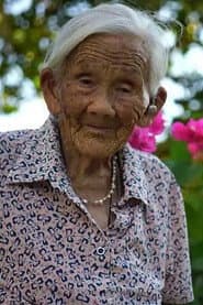 Wei Shaolan
