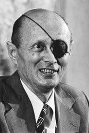 משה דיין