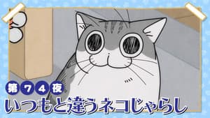 Episodio 74