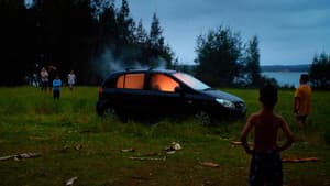 Mud Crab — foto 1