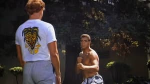 College Kickboxers — foto 1