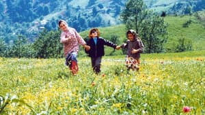رنگ خدا — foto 2