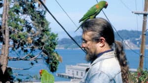 The Wild Parrots of Telegraph Hill — foto 8