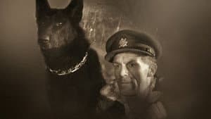 Král Šumavy — foto 1