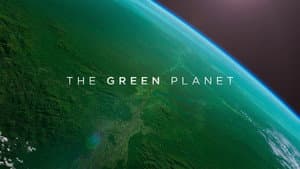 Planeta Verde — foto 9