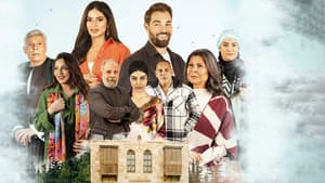 أسيل — foto 1
