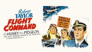 Flight Command — foto 7