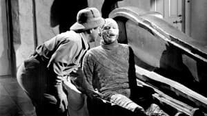 Abbott y Costello contra la momia — foto 3