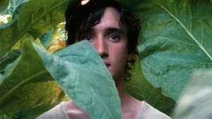 Lazzaro felice — foto 12
