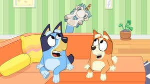 Animales
