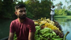 Plátano