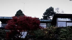 Duer Skal Flyve Frit I Himlen — foto 7