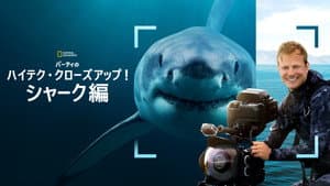 Tiburones De Cerca Con Bertie Gregory — foto 12