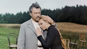 Чайка — foto 1