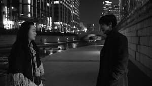 카페 느와르 — foto 3