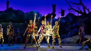 De Sprookjesmusical: De gelaarsde Kat — foto 4