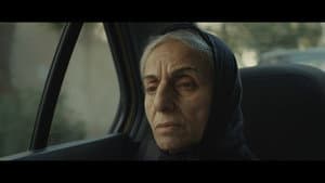 Anaar — foto 2
