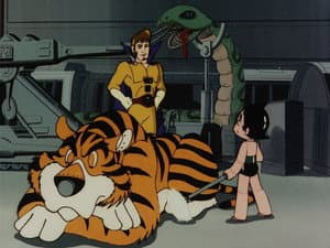 El circo de los robots